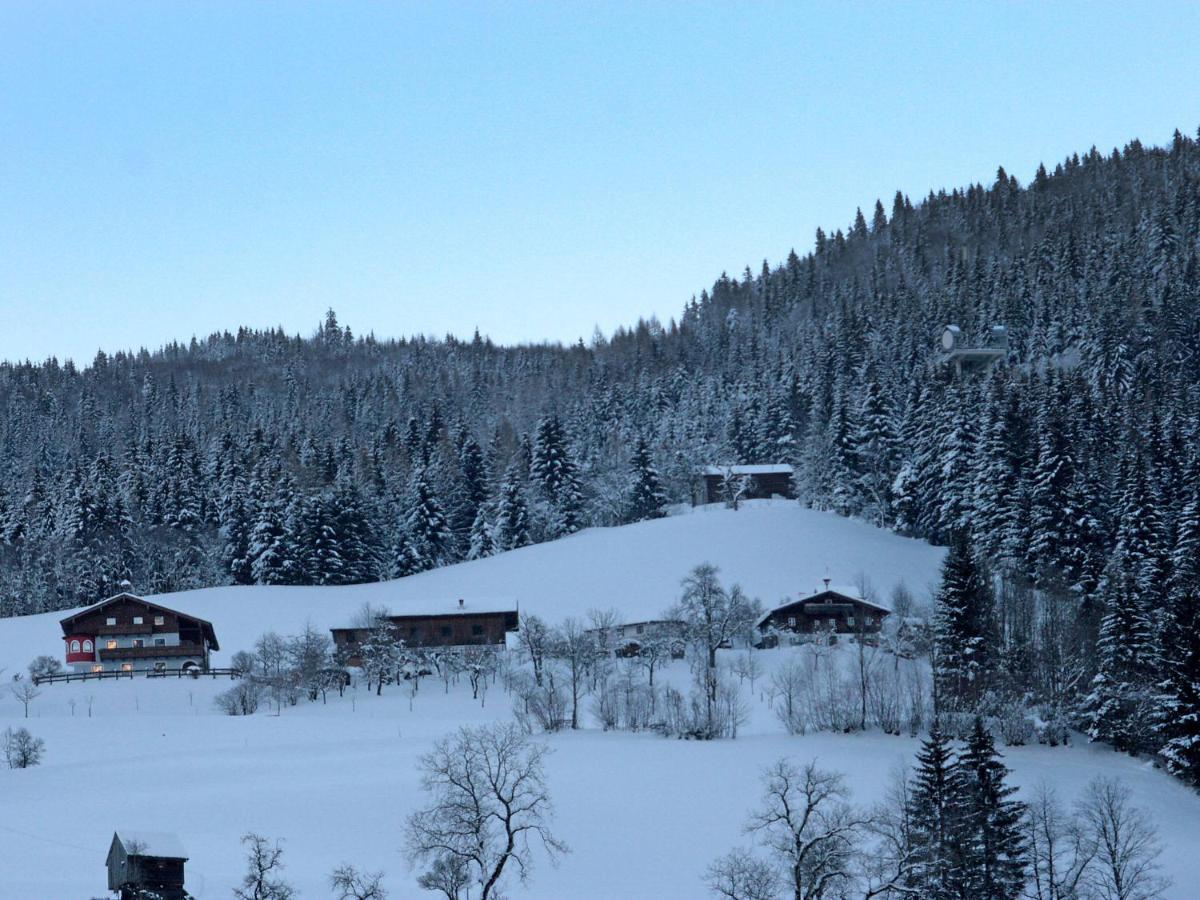 Holiday Home Oberhaslach By Interhome Abtenau Exterior foto